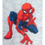Kép 2/3 - Disney hálós Pókember mintájú színes gyerekszőnyegek 